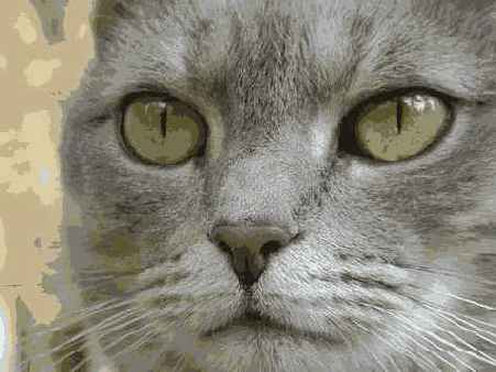 ����� 28. ���������������� �������� ��������