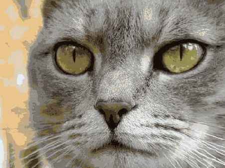 ����� 28. ���������������� �������� ��������