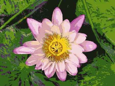 ����� 30. ������ ������ � �������� ����������