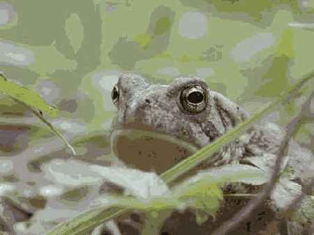 ����� 31. �����������