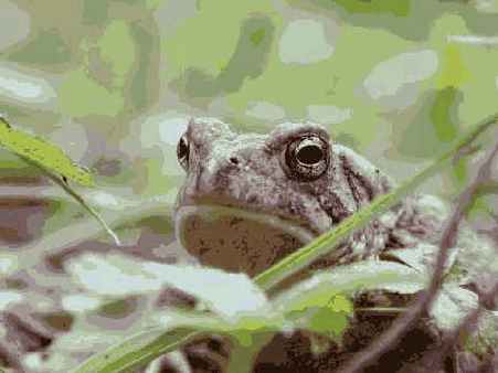 ����� 31. �����������