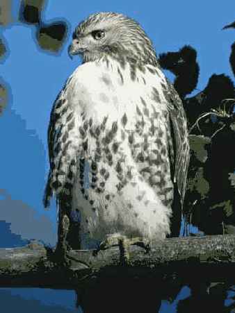 ����� 32. ���������������� ���� � �������������� ���������