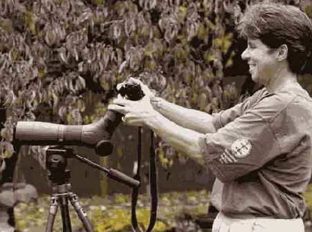 ����� 32. ���������������� ���� � �������������� ���������