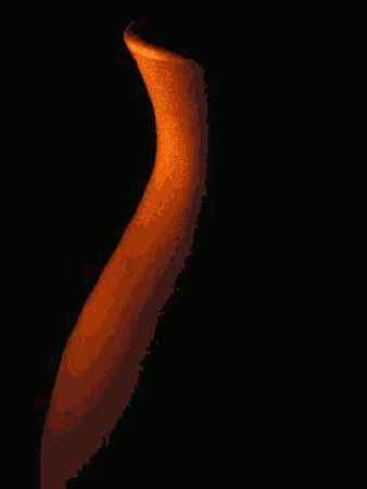 ����� 42. ������ ��� ������������� ����� �� �����