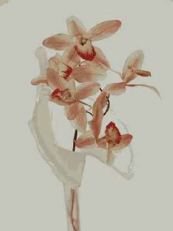 ����� 45. �������� ���������� 