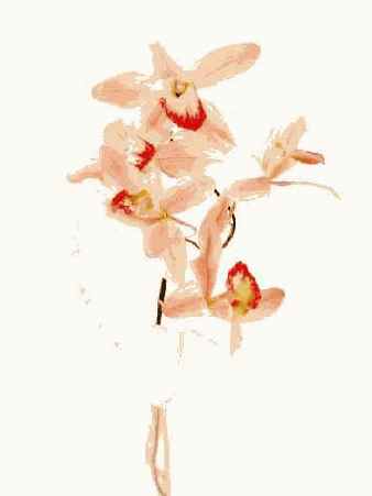 ����� 45. �������� ���������� 