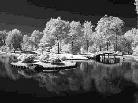 ����� 46. �������� ������ � ������������ �����