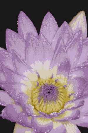 ����� 47. ���������������� ������ ��� ������������� ��������� ������� ��� �����������