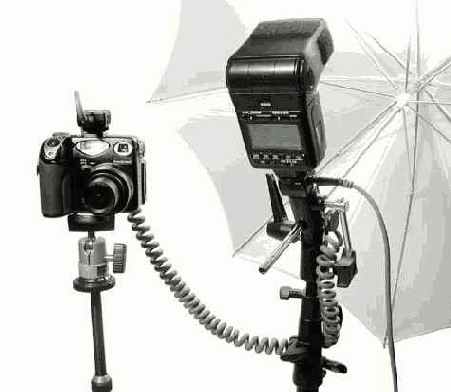 ��������� ���� ���������� �����