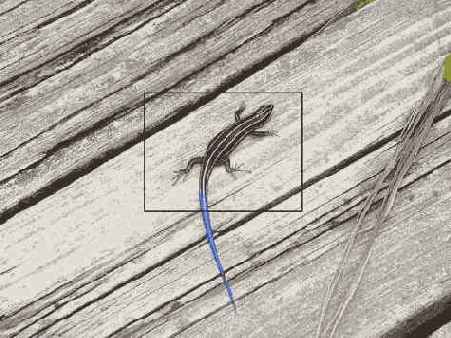 ���������� 2 5