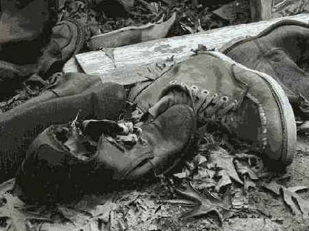 �������� �����������