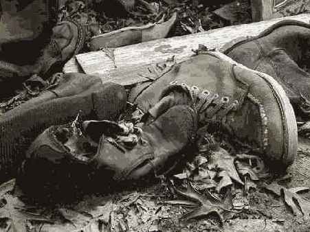 ����������������� �����������