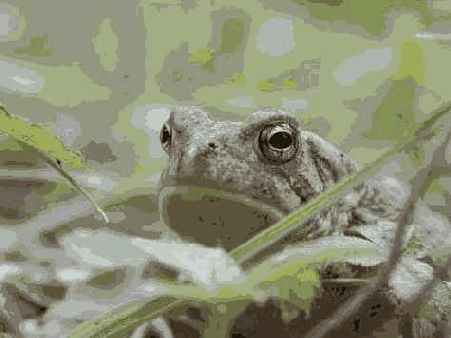 ������ �� ��� ������ ��������, 