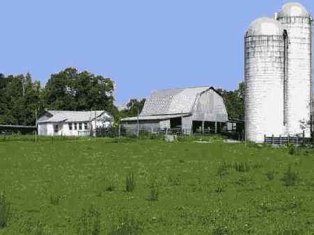 ����������������� �����������