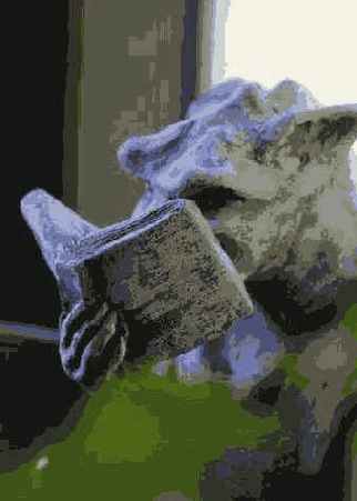 ���������� 6 4