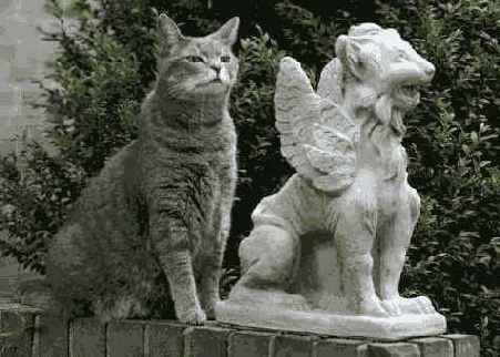 ���� ���������� �� ��� ���������� 