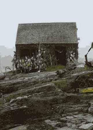 ���������� 7 4