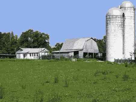 ����������������� �����������