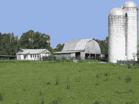 ���������� 8 4