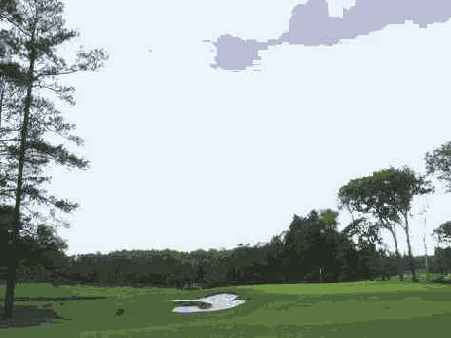 ���������� 9 6