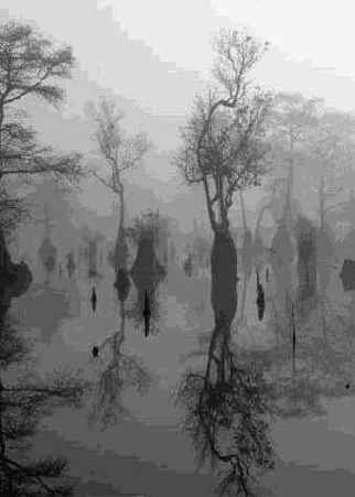 ���������� 9 8