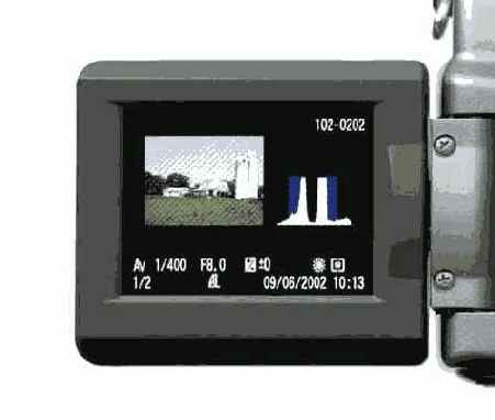 ��������� �������� ������������ ����� ���������� 