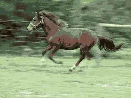 � ������������� ������������� �������������� ��������� 