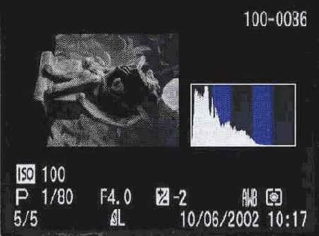 ������ ��������, ��� ������� ���������� 