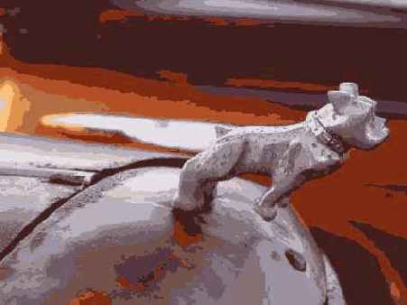 ����������������� �����������