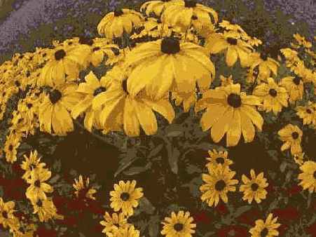 �������� �����������