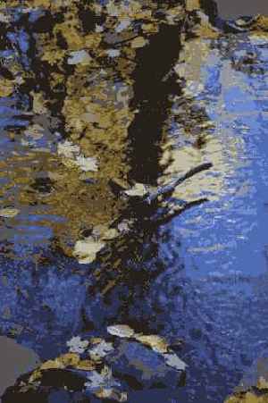 ���������� 19 6