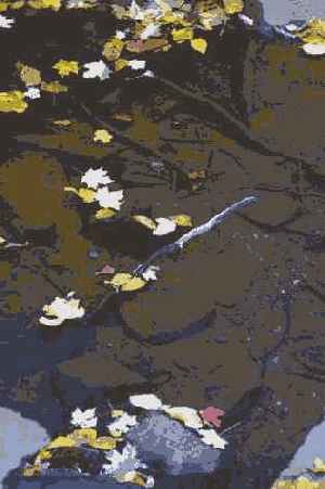 ������ ������ ���������� ��������, �� 