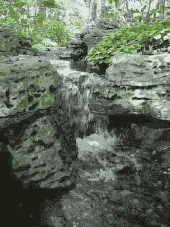 ���������� 19 8