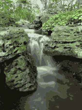 ���������� 19 9