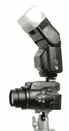 ���������� 20 9