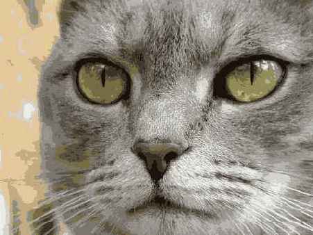 ����������������� �����������