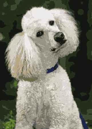 ���������� 28 3