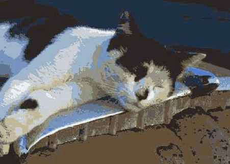 ���������� 28 5