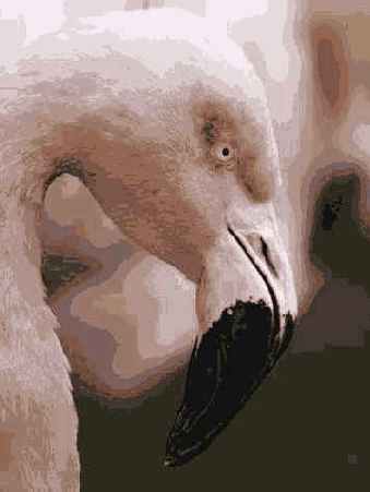 �� ������ ������� ����� ����� 