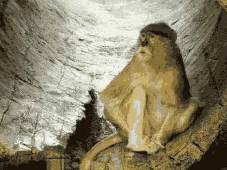 ���������� 29 5