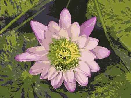 �������� �����������