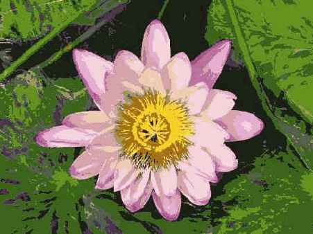 ����������������� �����������