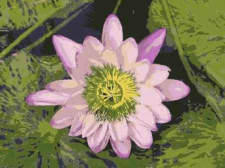 ���������� 30 4