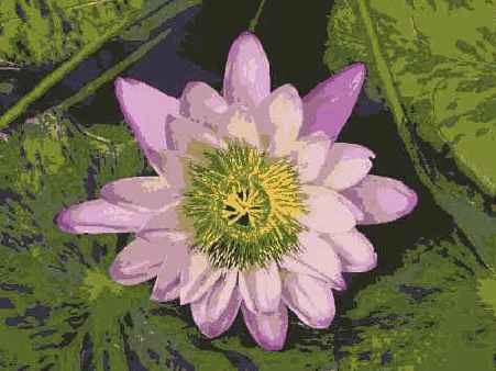 � ���, ��������� ������ �������� 