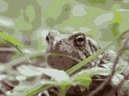 ����������������� �����������