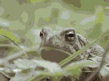 �� ������� ��������� ������� �������� 