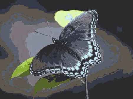 ��������� ������� ��������� ��� ���������������� 