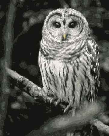 � ����� �� ����� �������� 