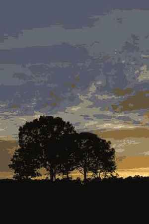 ���������� 34 6