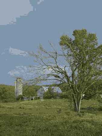 �������� �����������